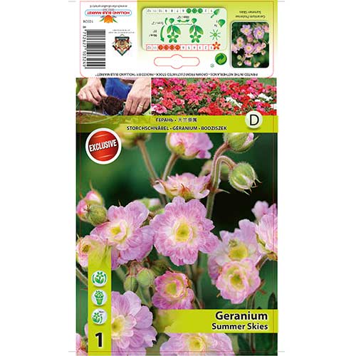 Kakost luční Summer Skies obrázek 1 artikel 76242