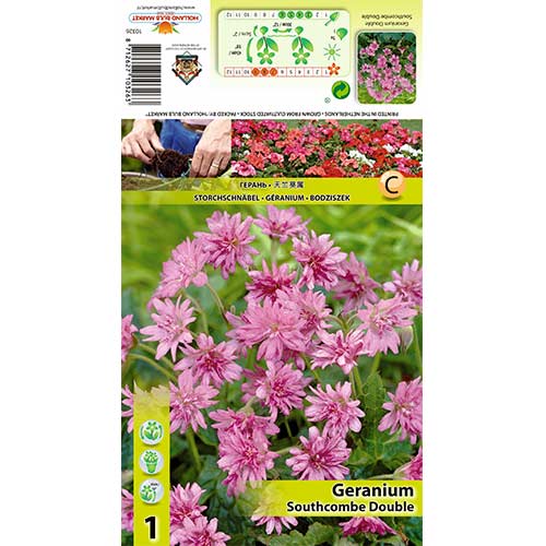 Kakost Southecombe Double obrázek 1 artikel 70391