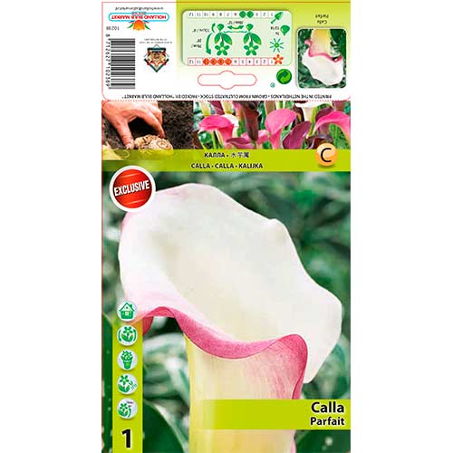 Kala Parfait obrázek 1 artikel 76195