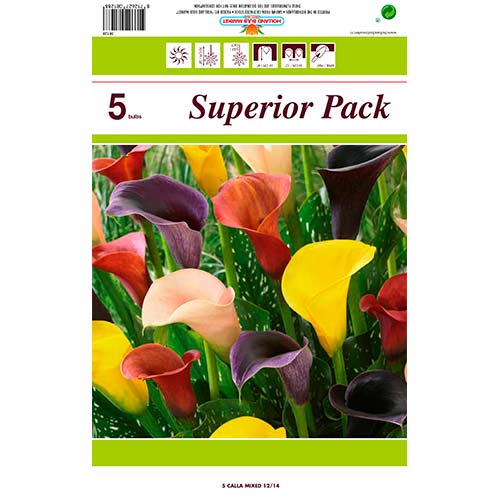 Kala, směs barev obrázek 1 artikel 76396