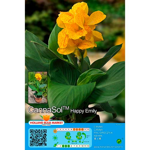 Kana Happy Emily obrázek 1 artikel 76402