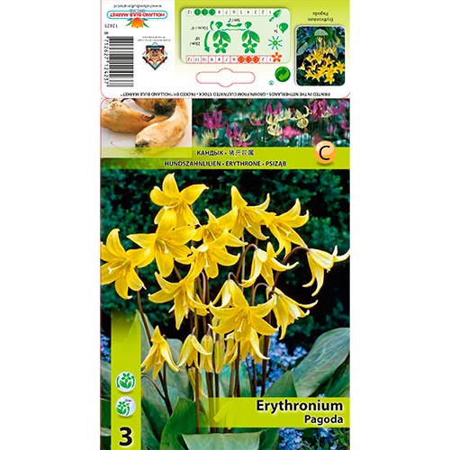 Kandík Pagoda artikel fotografie 1 Kandík Pagoda obrázek 1 artikel 67350