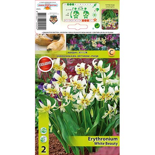 Kandík White Beauty obrázek 1 artikel 67351