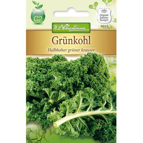 Kapusta kadeřavá Halbhoher gruner Krauser obrázek 1 artikel 78716