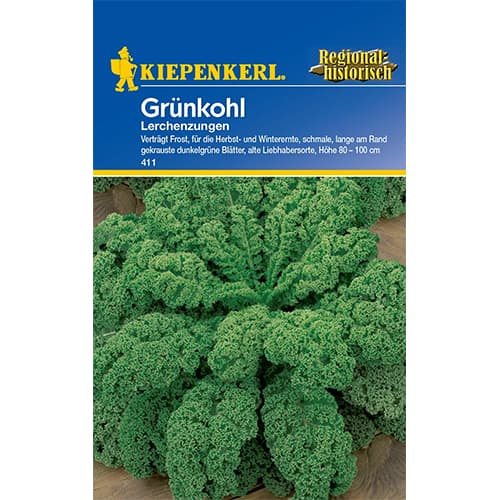Kapusta kadeřavá Lerchenzungen obrázek 1 artikel 77502