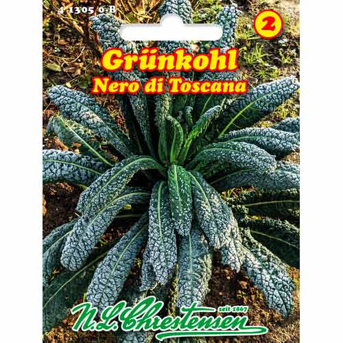 Kapusta kadeřavá Nero di Toscana obrázek 1 artikel 50050
