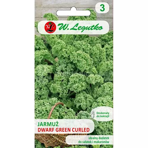 Kapusta kadeřavá nízká Dwarf Green Curled obrázek 1 artikel 69474