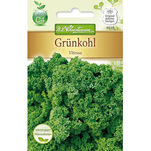Kapusta kadeřavá Vitessa obrázek 1 artikel 78717