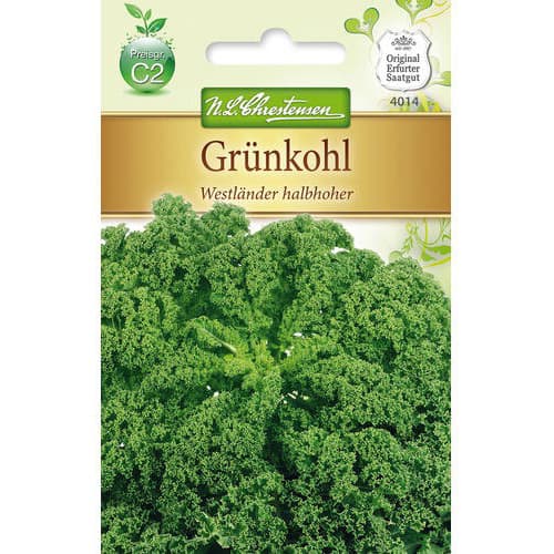 Kapusta kadeřavá Westlander halbhoher artikel fotografie 1 Kapusta kadeřavá Westlander halbhoher obrázek 1 artikel 78715