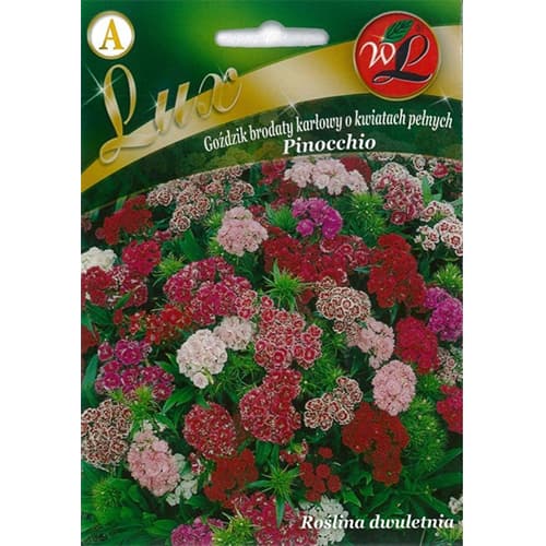 Karafiát fúzatý trpasličí Pinocchio, směs artikel fotografie 1 Karafiát fúzatý trpasličí Pinocchio, směs obrázek 1 artikel 86762