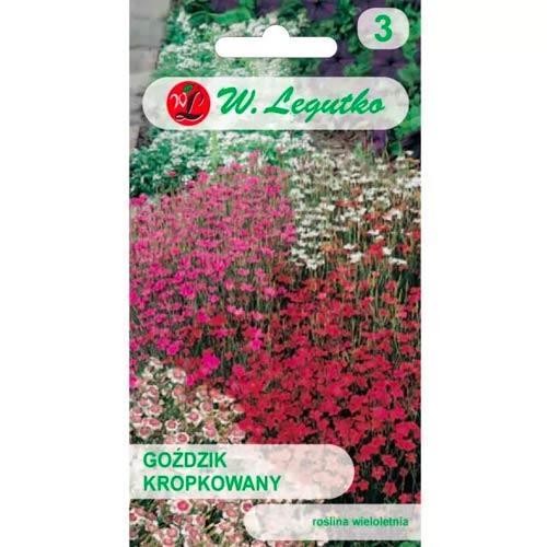 Karafiát kropkowany, směs obrázek 1 artikel 50100