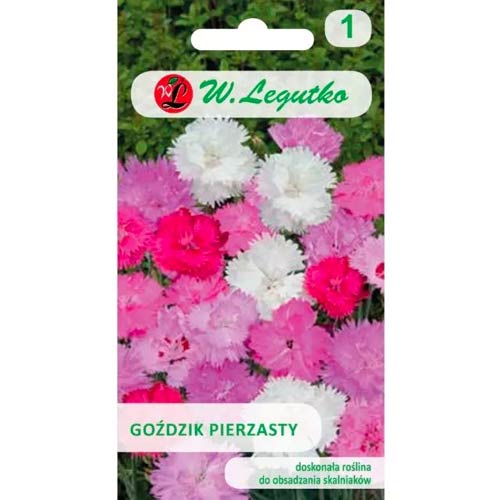 Karafiát opeřený, směs obrázek 1 artikel 50102