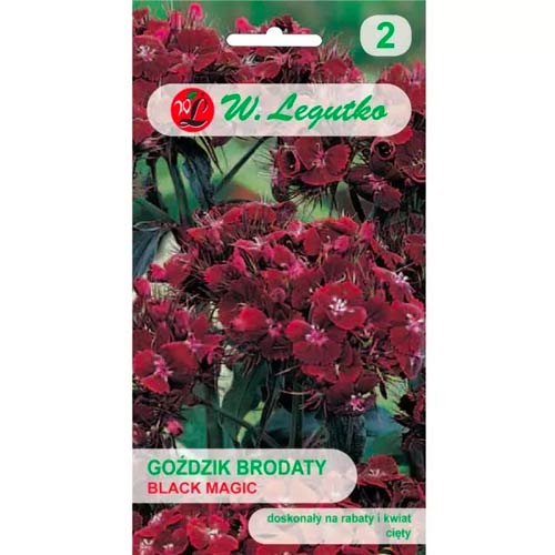 Karafiát vousatý Black Magic obrázek 1 artikel 69590