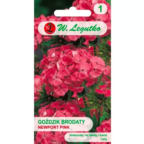 Karafiát vousatý Newport Pink obrázek 1 artikel 78602