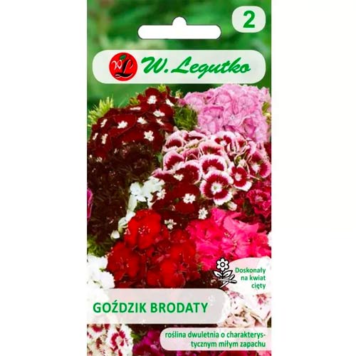 Karafiát vousatý, směs obrázek 1 artikel 78603