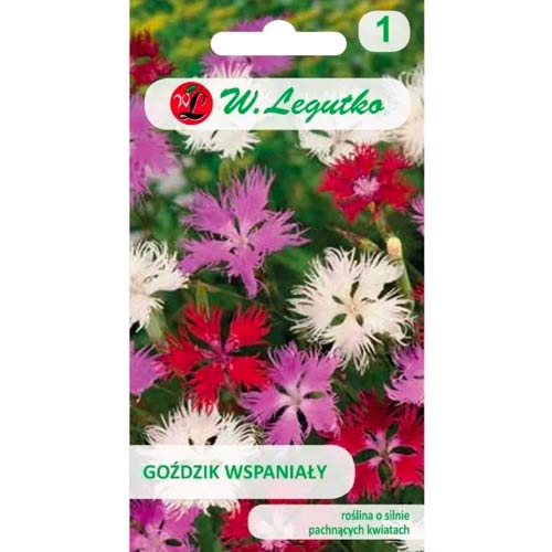 Karafiát vynikající, směs obrázek 1 artikel 50103