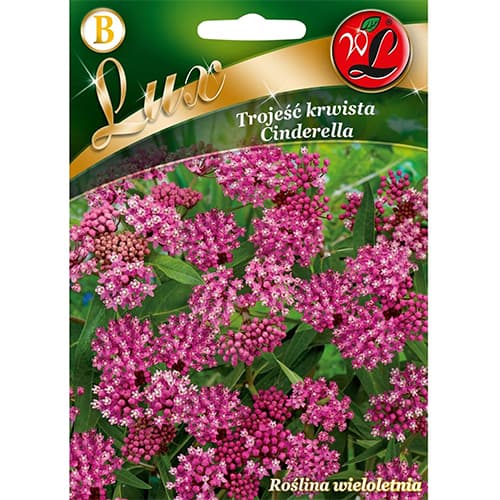 Klejicha pleťová Cinderella obrázek 1 artikel 96780