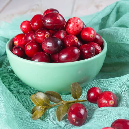 Klikva velkoplodá Piligrim, P9 obrázek 1 artikel 9311