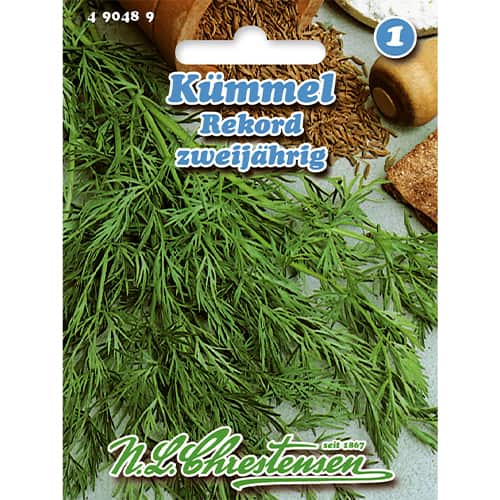 Kmín kořenný Rekord obrázek 1 artikel 86008