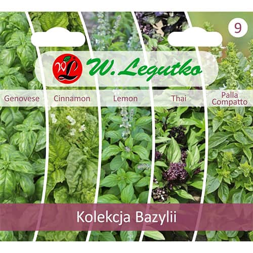 Kolekce Bazalky, 5 odrůd obrázek 1 artikel 96837