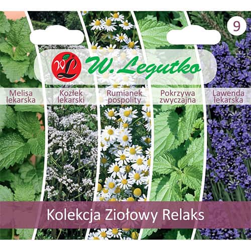 Kolekce Bylinná relaxace, 5 odrůd obrázek 1 artikel 96847