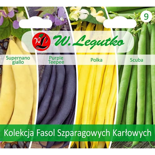 Kolekce fazole šarlatové trpasličí, 4 odrůdy obrázek 1 artikel 96838