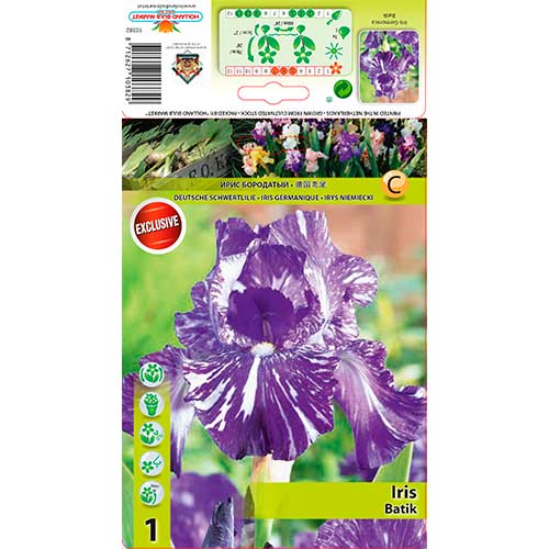 Kosatec německý Batik obrázek 1 artikel 76282