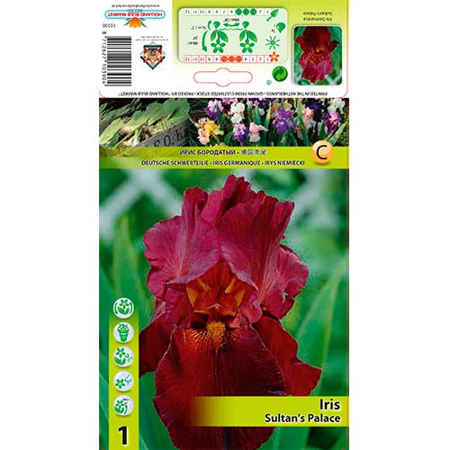 Kosatec německý Sultan's Palace obrázek 1 artikel 76292