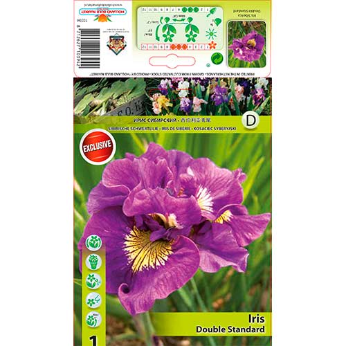 Kosatec sibiřský Double Standard obrázek 1 artikel 76287