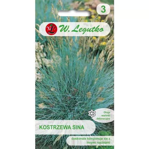 Kostřava stříbřitě modrá obrázek 1 artikel 78568