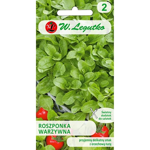 Kozlíček polní Verte de Cambrai artikel fotografie 1 Kozlíček polní Verte de Cambrai obrázek 1 artikel 78497