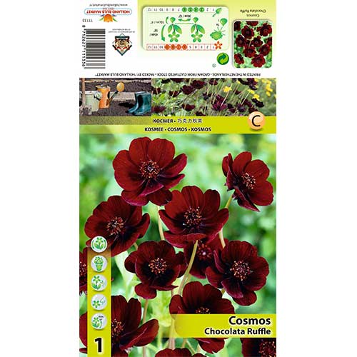 Krásenka Chocolate Ruffle obrázek 1 artikel 70368