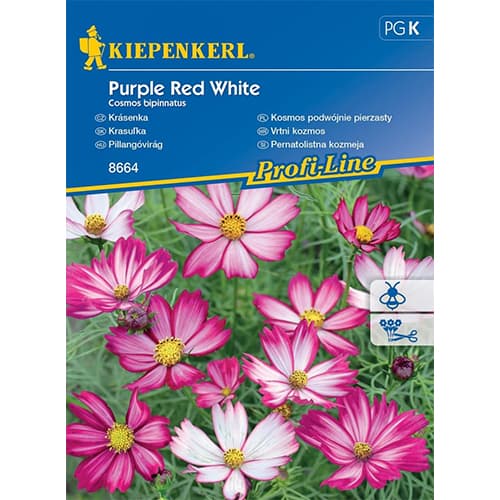 Krásenka Purple Red White obrázek 1 artikel 86308