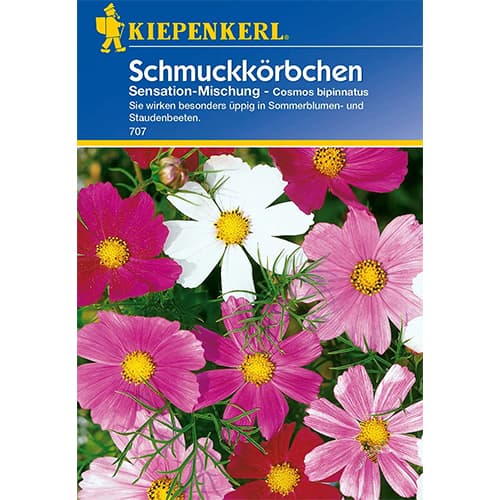 Krásenka Sensation, směs barev obrázek 1 artikel 77400