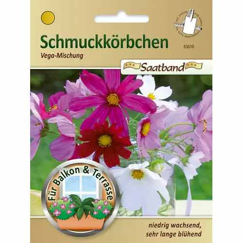 Krásenka Vega, směs obrázek 1 artikel 50027