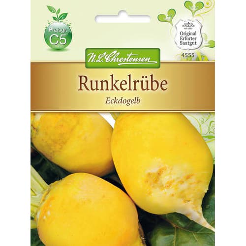 Krmná řepa Eckdogelb obrázek 1 artikel 78881