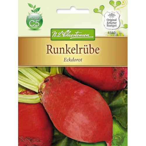 Krmná řepa Eckdorot obrázek 1 artikel 78882