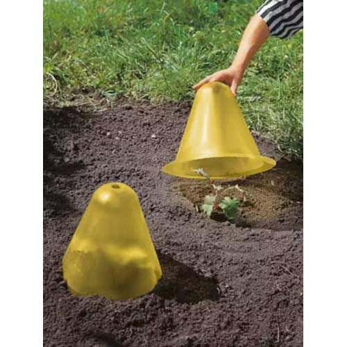 Kukla na ochranu rostlin obrázek 1 artikel 96979