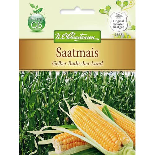 Kukuřice obecná obrázek 1 artikel 78883