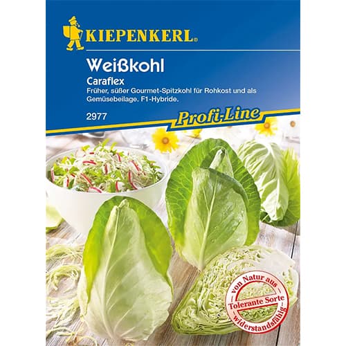 Kuželovité zelí Caraflex obrázek 1 artikel 86536