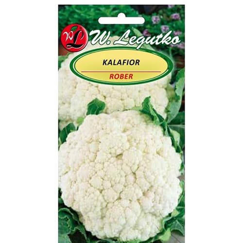 Květák Rober obrázek 1 artikel 86870