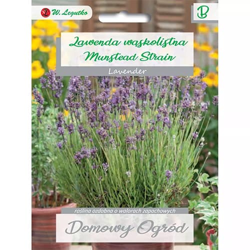 Levandule úzkolistá Munstead Strain obrázek 1 artikel 87120