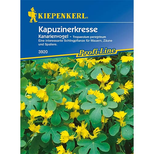 Lichořeřišnice kanárská žlutá obrázek 1 artikel 86274