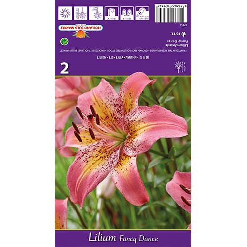 Lilie Fancy Dance obrázek 1 artikel 77836