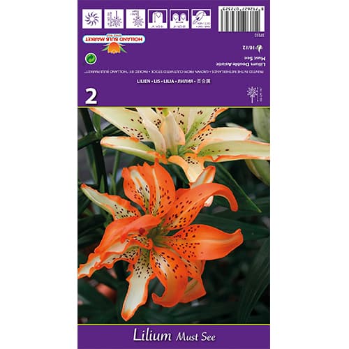 Lilie Must See obrázek 1 artikel 77838