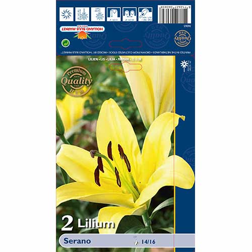 Lilie Serano obrázek 1 artikel 70233