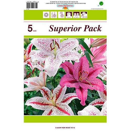 Lilie Tiger, směs barev obrázek 1 artikel 76480