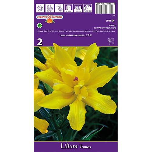 Lilie Tomos obrázek 1 artikel 77839