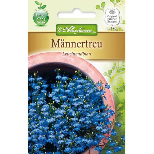 Lobelka Leuchtendblau obrázek 1 artikel 78918