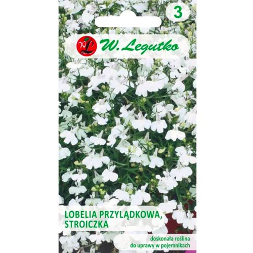 Lobelka modrá (Lobelka drobná) bílá obrázek 1 artikel 78571